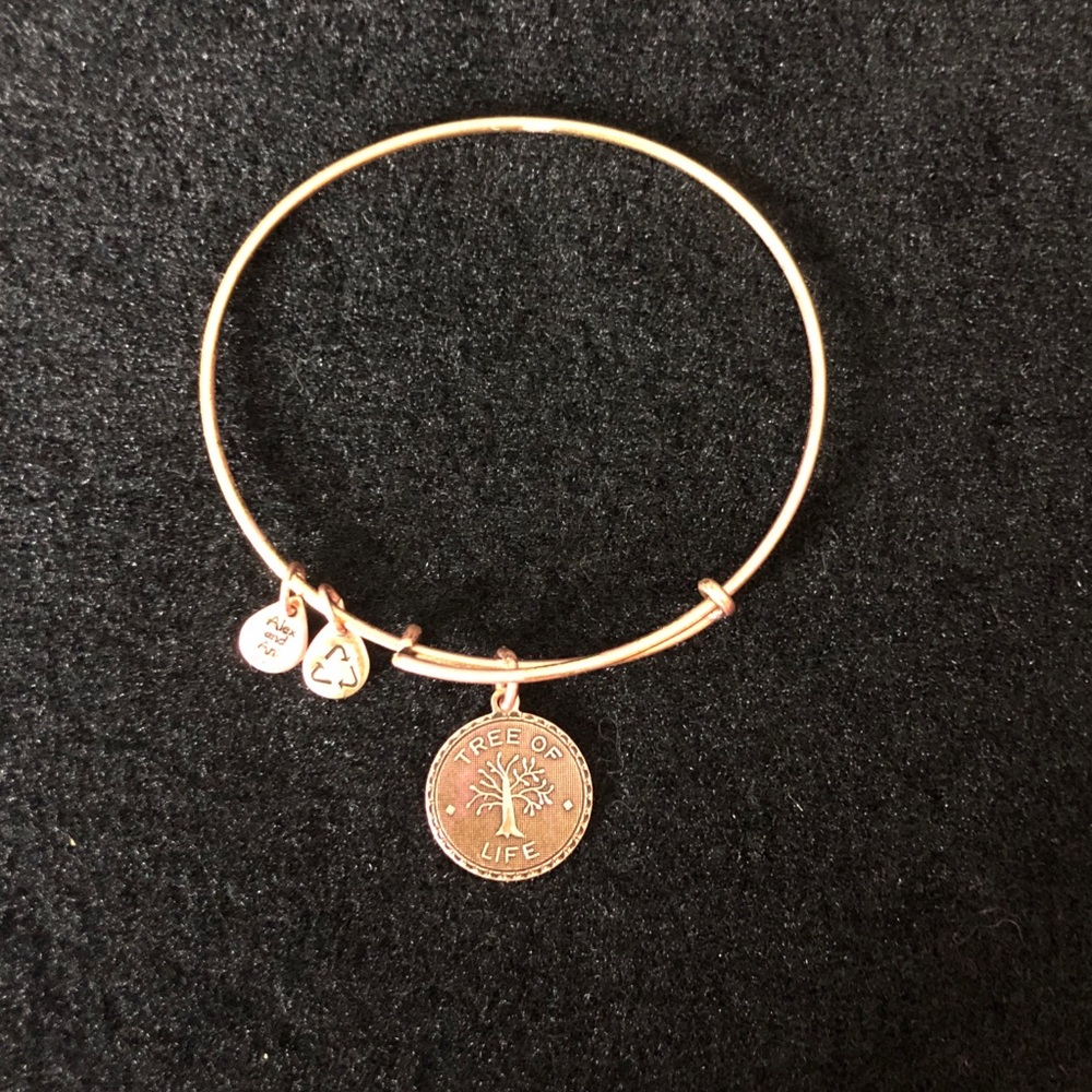 🍏 Alex and Ani Bracelet Tree of Life